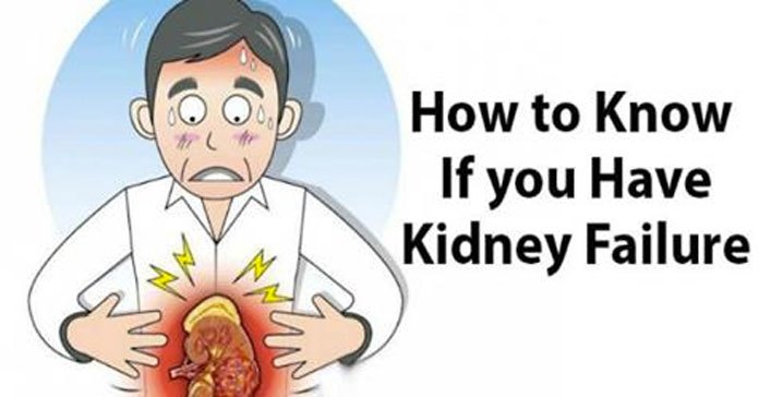 8 Outstanding Symptoms Of Kidney Failure You Need To Know To Control ...