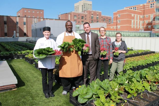 Hospital’s Rooftop Garden Provides 7000 Pounds of Organic Veggies a Year for Patients