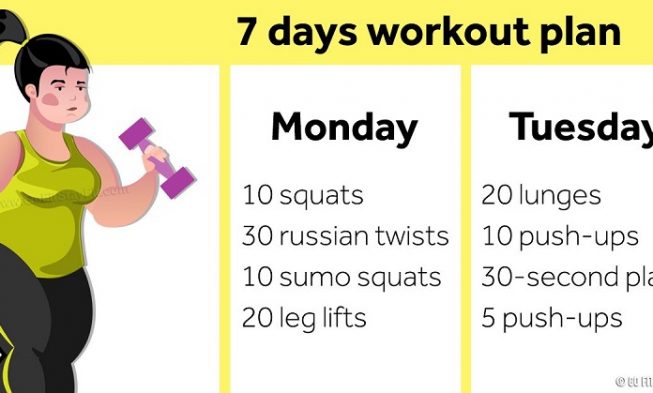 7 Day Beginner Workout Plan to Tone Whole Body