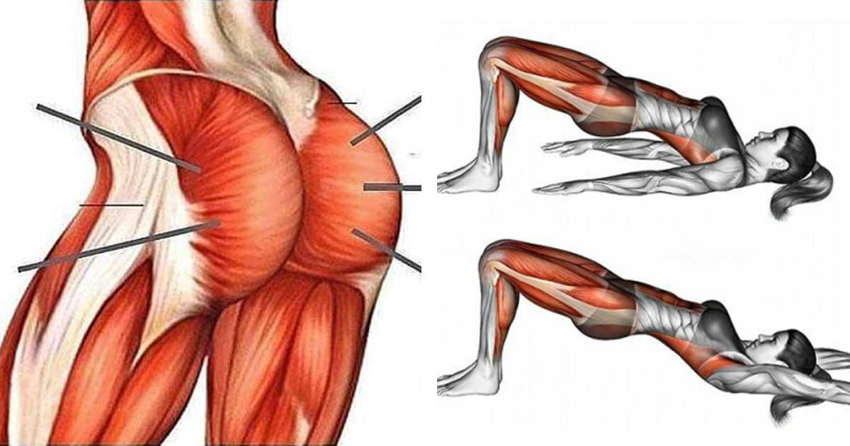 Just One Exercise A Day To Tone And Strengthen Your Glutes Gardeniaworld